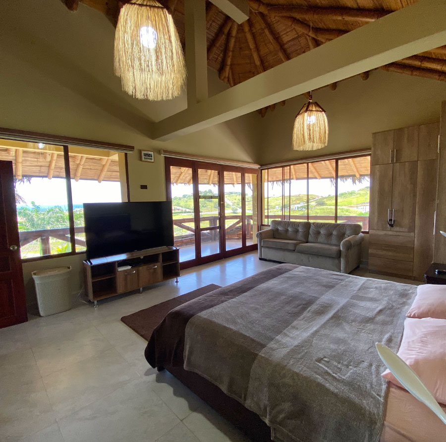 bedroom with windows, bed, tv and furniture