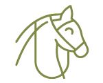 horse head icon green color